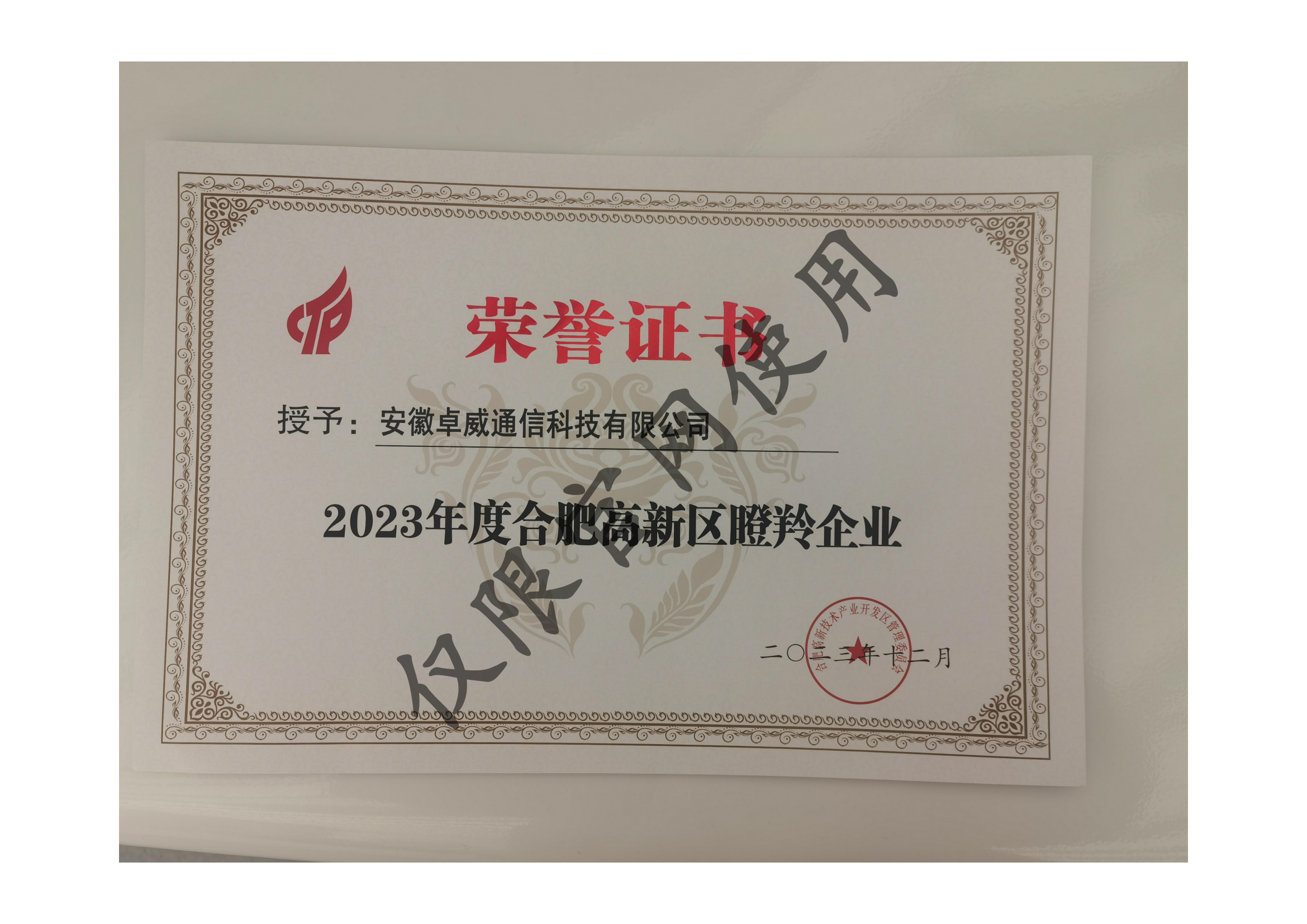 2023年度合肥高新区瞪羚企业证书